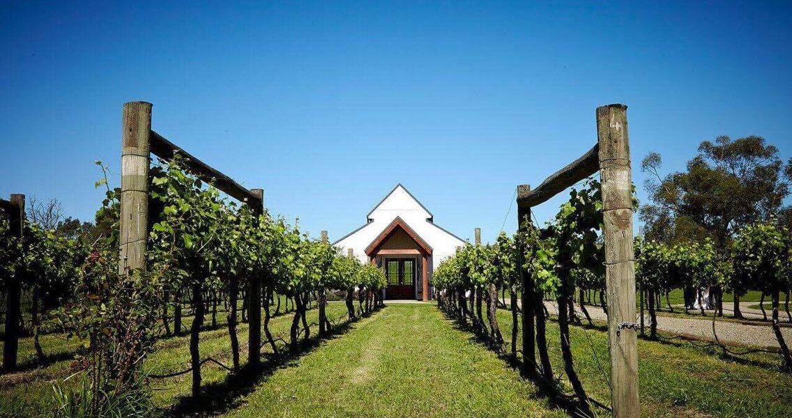 Yarra Winery 1